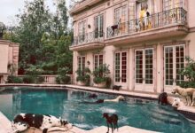 Which hotels welcome pets for traveling guests?