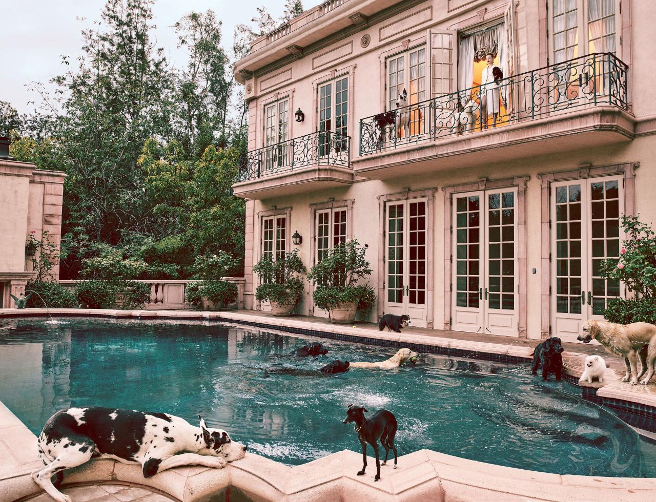 Which hotels welcome pets for traveling guests?