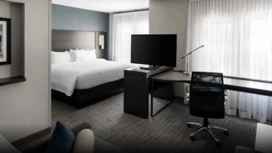 Which hotels allow pets to stay with guests?