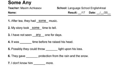 Some Any Much Many Worksheet