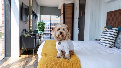 Which hotels are pet-friendly for guests traveling with pets?