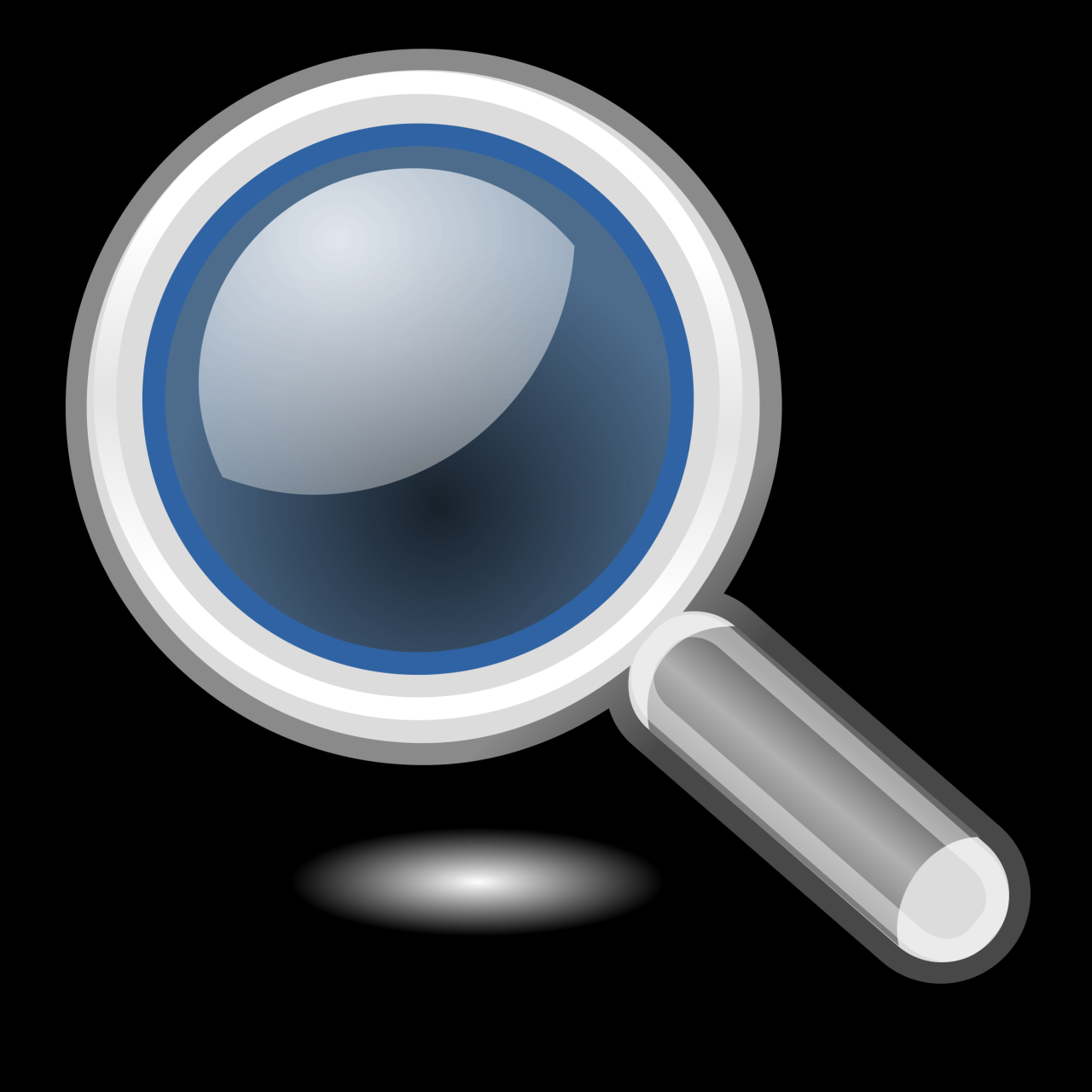 Google Accessible Search Google Accessible Search